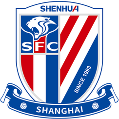 上海申花队旗